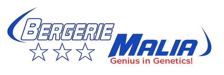 Bergerie Malia
